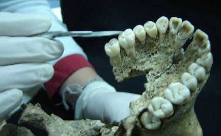 Nuevas evidencias sobre sacrificios en Tenochtitlan