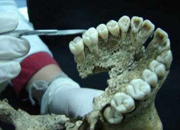 Nuevas evidencias sobre sacrificios en Tenochtitlan