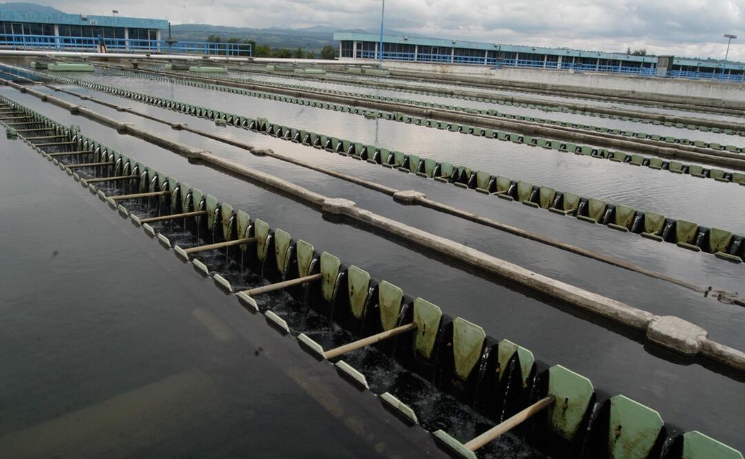 Foto: Archivo. EL UNIVERSAL