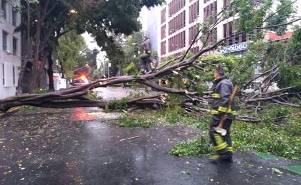Lluvia de esta mañana deja 13 encharcamientos y dos árboles caídos en CDMX 