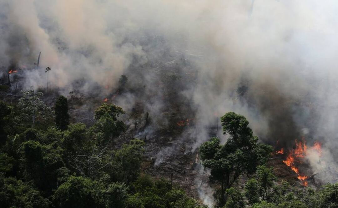 El Instituto Nacional de Investigaciones Espaciales (INPE) de Brasil detectó más de 72.800 focos de incendios en la región en lo que va de año (Foto: Reuters)