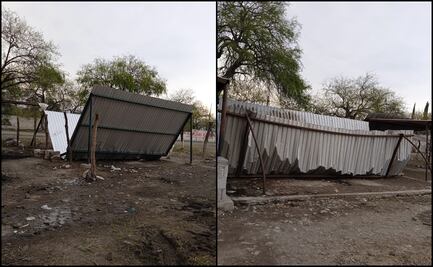 Intensa granizada deja graves daños a productores ganaderos en Puebla