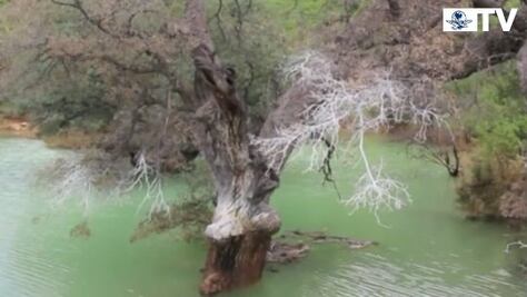 Damnificados de derrame, denuncian abandono