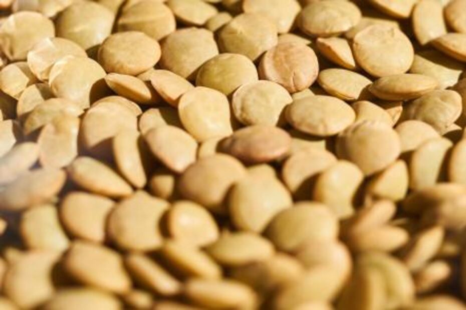 Alimentos que elevan la hemoglobina