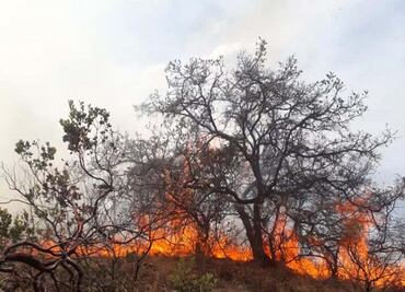 Reporta 7 incendios activos en Edomex