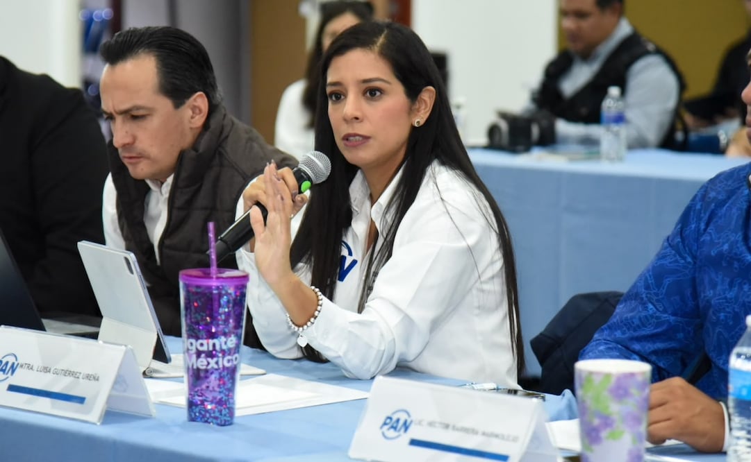 PAN CDMX mantiene asesorías virtuales contra casos de despojo. Foto: especial