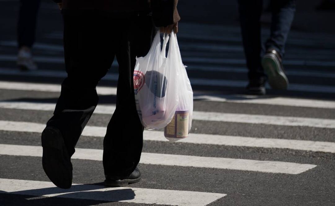 Las bolsas de plástico utilizadas para verduras o carne cruda quedarían exentas de la prohibición Foto:AP