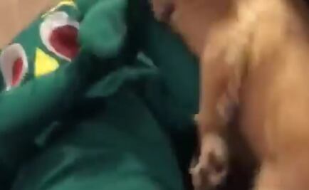 Hombre se disfraza del muñeco favorito de su perro