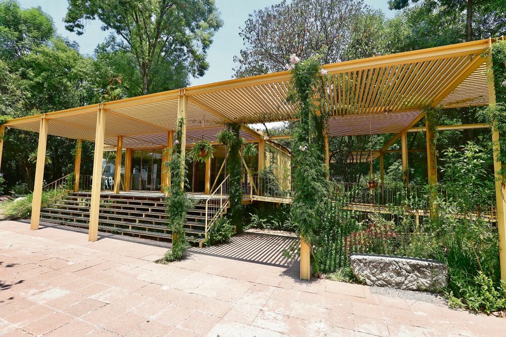 Berenice Fregoso El universal