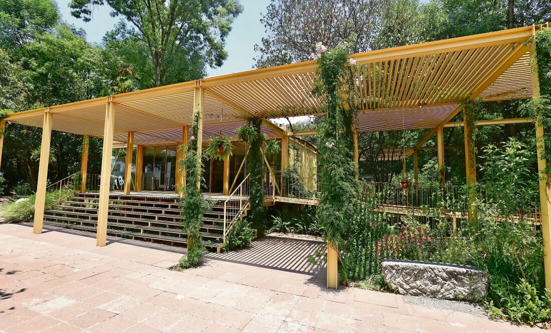 Berenice Fregoso El universal