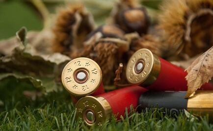 Rusia: ​Perros "asesinan" accidentalmente a dueño