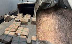 Aseguran media tonelada de raíz de tepezcohuite en la Aduana del AICM; sería llevada a Gran Bretaña