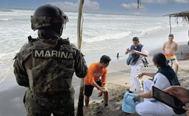 Resguardan 39 huevos de tortuga marina; evitan tráfico de 59 ejemplares por paquetería 
