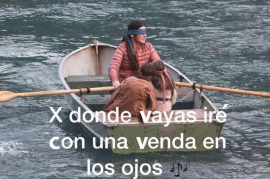 No más #BirdBoxChallenge pero los memes no paran