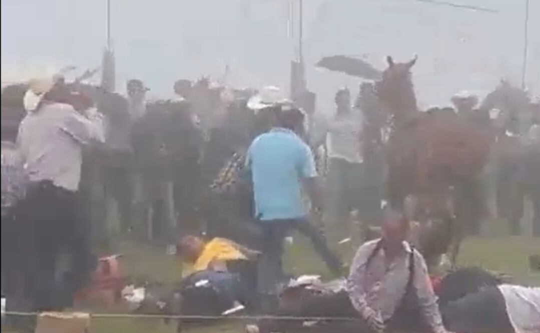 Foto: captura de pantalla