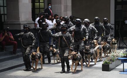 Pega austeridad a perros rescatistas: Marina baja 34% presupuesto para su alimento