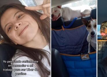 Joven se hace viral por su nuevo emprendimiento: Uber de perritos