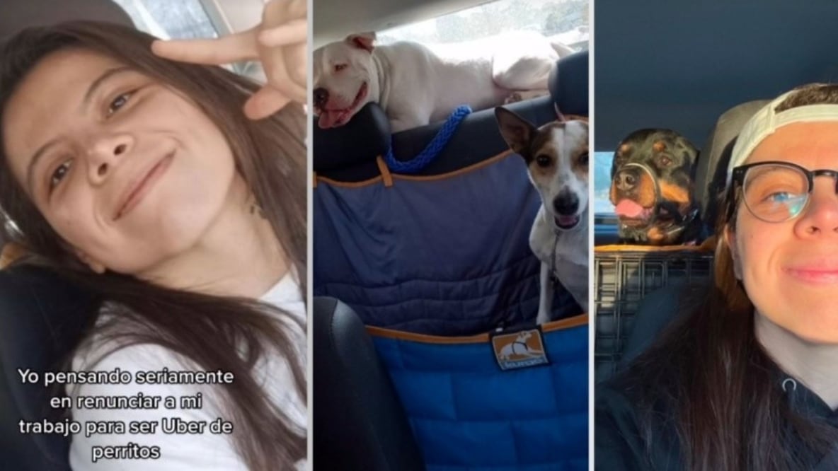 Uber para perritos | Fuente: Captura de pantalla.