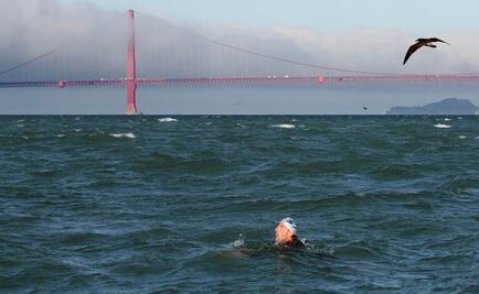 Tiburón blanco frustra hazaña de nadador en San Francisco