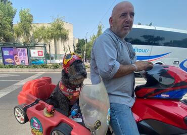 “Frijol”, el lomito biker que recorre las calles de la CDMX