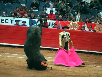 El mundo taurino está de luto