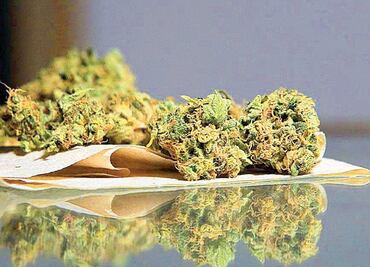 Avanza en comisiones de Senado ley sobre marihuana que permite posesión de hasta 200 gramos