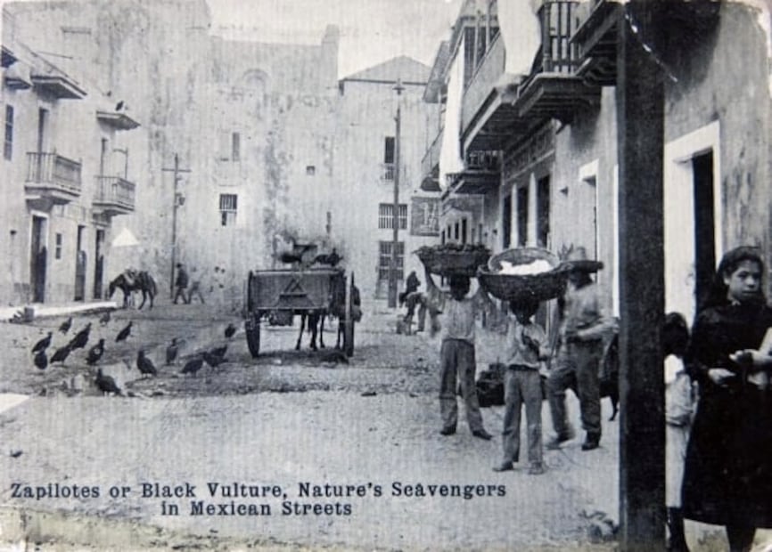 El pan viajaba en la cabeza