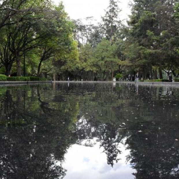 Entérate. Cinco lugares para pasear a tu perro