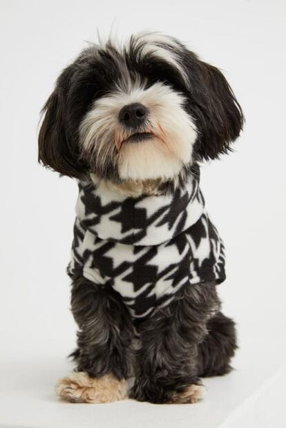 Regalos de Navidad con mucho estilo para tu perro