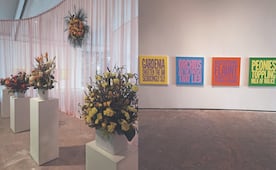Una obsesión por las flores, en el centro cultural Lago Algo