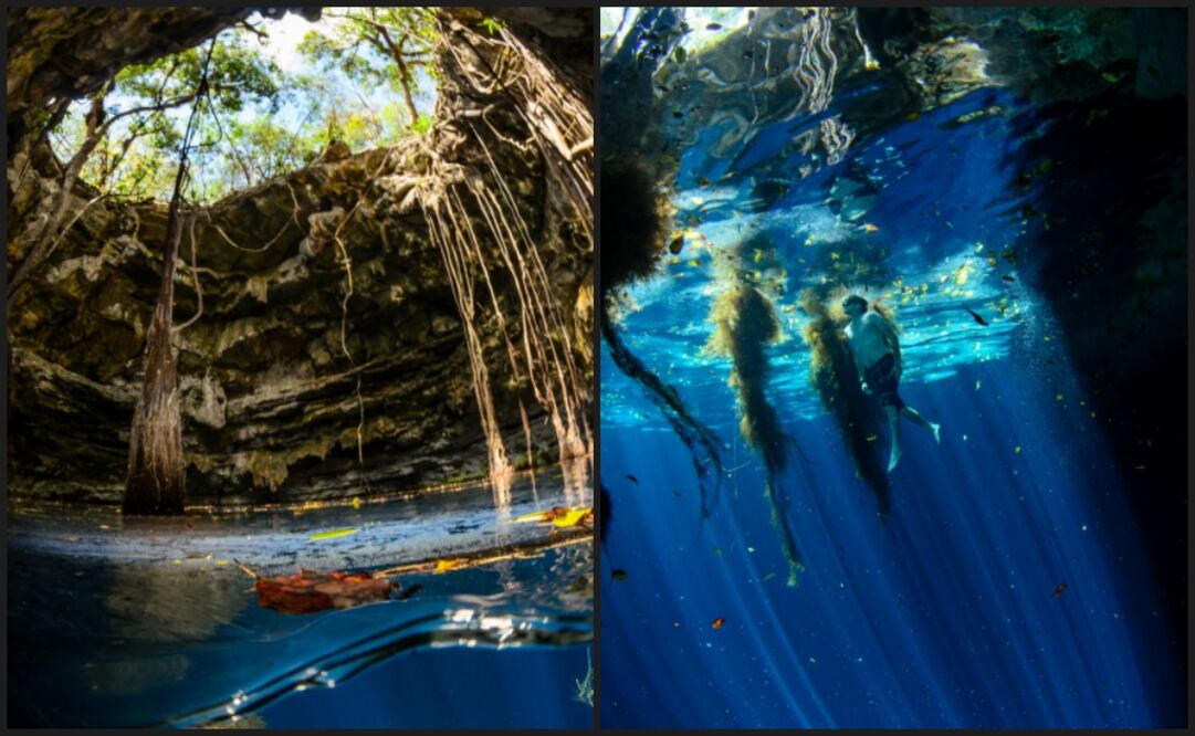 Los cenotes eran lugares sagrados para los mayas. (Foto: Cortesía los 7 Cenotes)