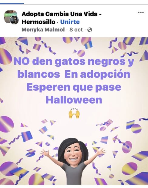 Protectoras de animales en Sonora piden proteger a gatos negros por ritos satánicos en Halloween