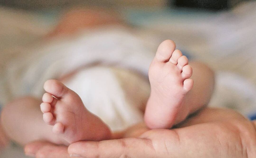 Imagen ilustrativa. Foto: Archivo/EL UNIVERSAL