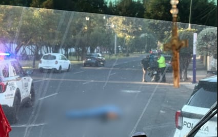 Trabajador del Zoológico de San Juan de Aragón muere arrollado