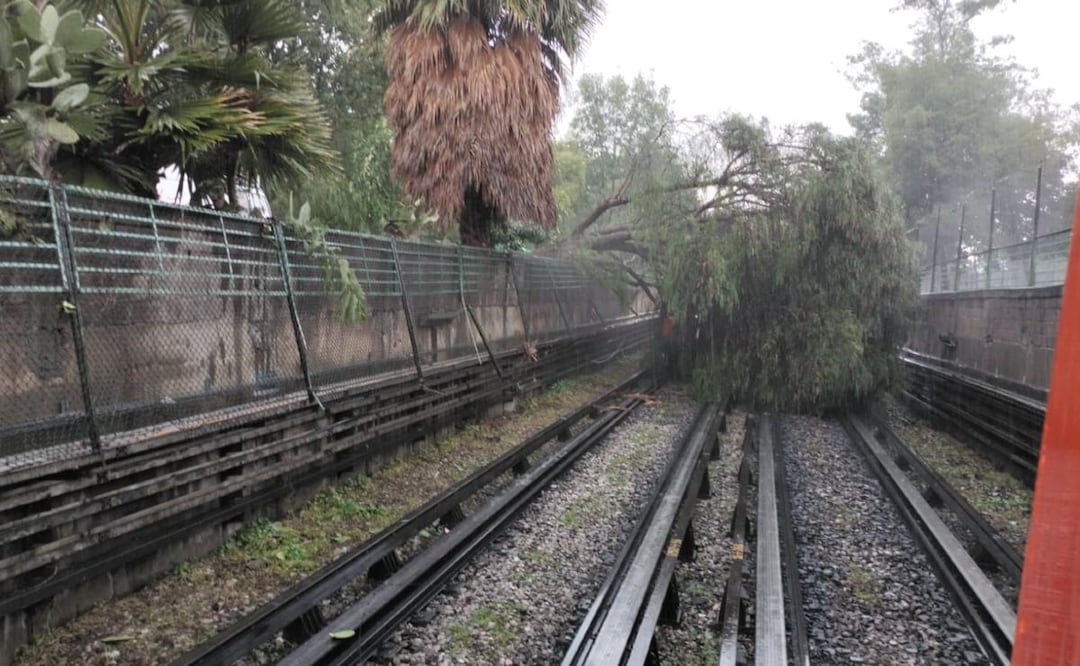 La Línea 5, que va de Pantitlán a Politécnico, se encuentra sin servicio debido a la caída de un árbol sobre las vías. | Foto ILUSTRATIVA: ARCHIVO EL UNIVERSAL.