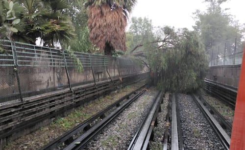 Caída de árbol ocasiona la suspensión del servicio en un tramo de la Línea 5 del Metro; estas estaciones fueron afectadas