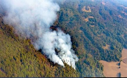 Reportan 10 incendios forestales en Morelos; uno de ellos en laderas de carretera