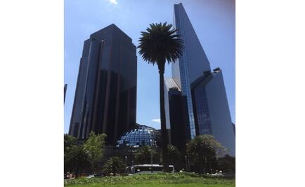 Mexico cuts 2015 growth forecast