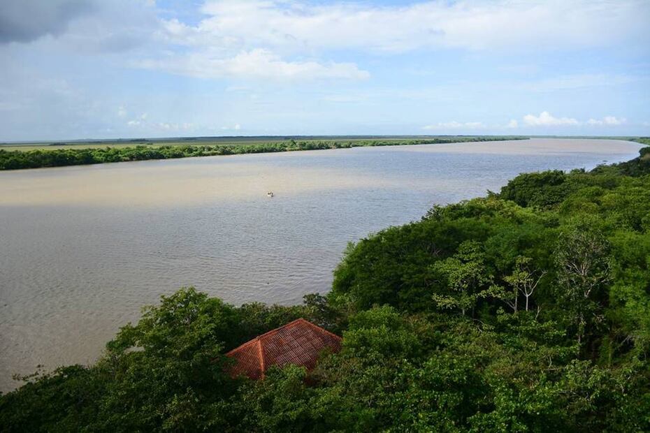 Foto: Reserva de la Biósfera Pantanos de Centla