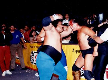 ¿Quién fue el Perro Aguayo?