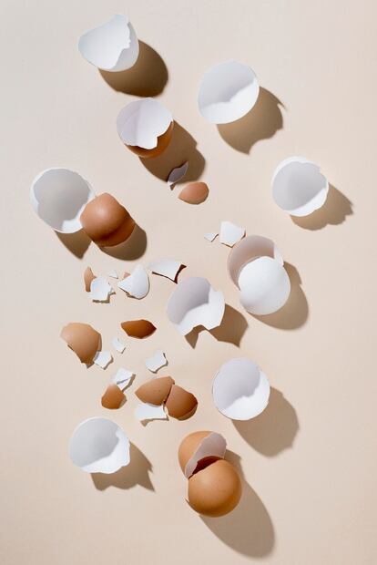 Descubre los sorprendentes beneficios de la cáscara de huevo, un tesoro desperdiciado. Fuente: Freepik.