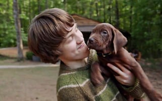 Netflix estrenará la serie "Scooby-Doo, el origen"; fans muestran molestia por el perrito que lo interpretará