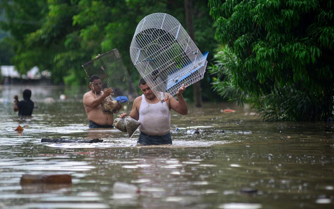 Un par de hombres pone a salvo a sus animales en una zona inundada este viernes en la ciudad de Poza Rica, Veracruz, el 10 de octubre de 2025. Foto: AFP