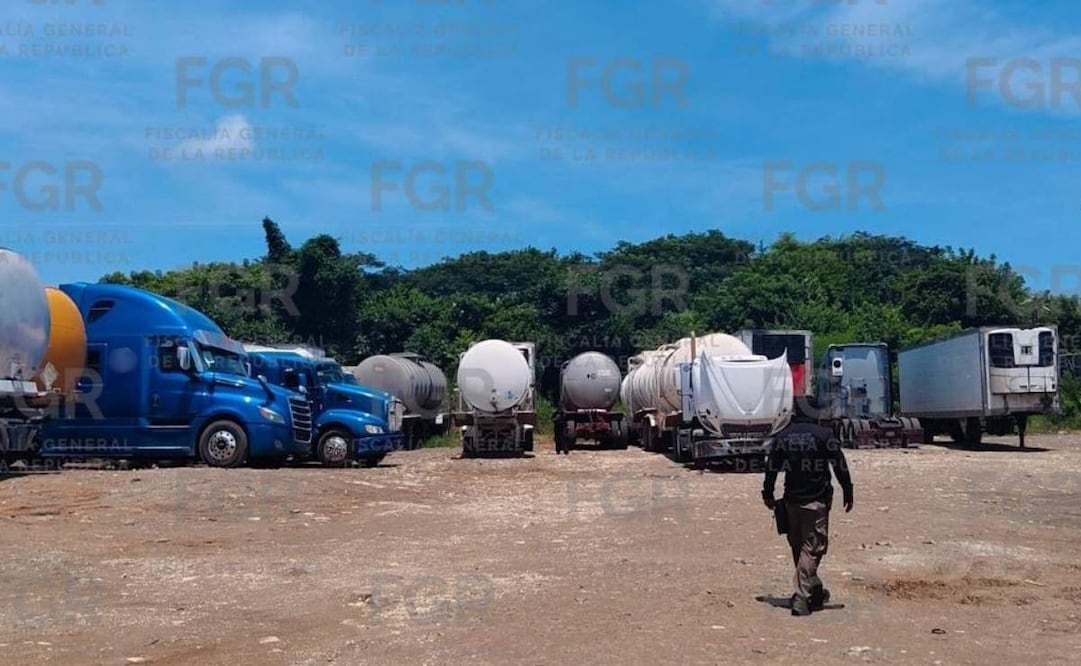Agentes federales intervinieron un inmueble en Veracruz y aseguraron 49 vehículos presuntamente robados. 03/09/2026. | Foto: Cortesía FGR.
