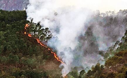 Instalan en NL comité de protección contra incendios forestales