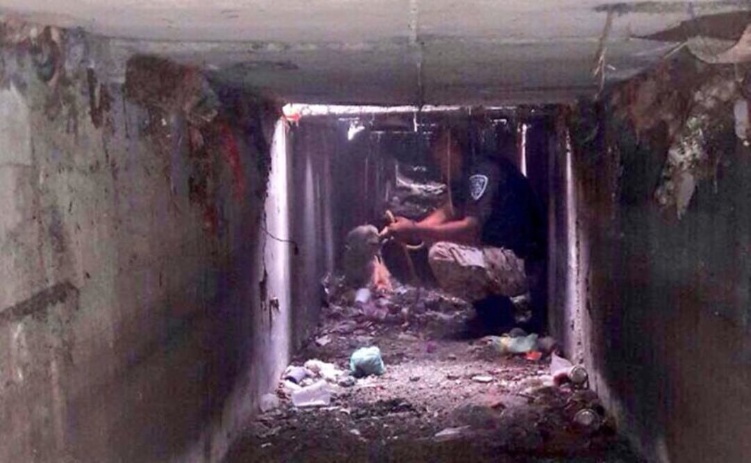 (Foto: Secretaría de Seguridad Pública de la Ciudad de México) 