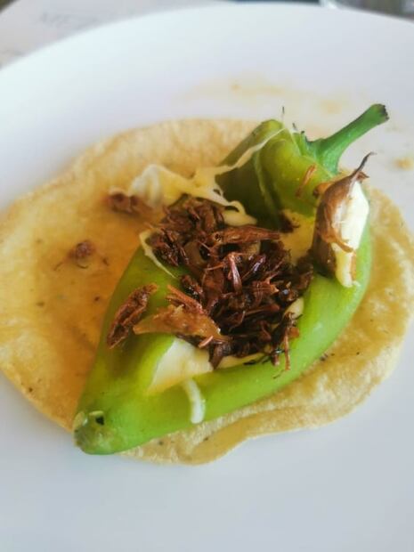 Este es el nuevo restaurante del chef Alex Ruiz en Puebla