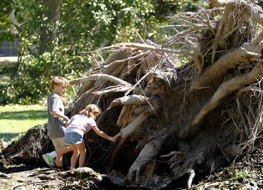 "Matthew" se aleja de costas de EU; suman 19 muertos