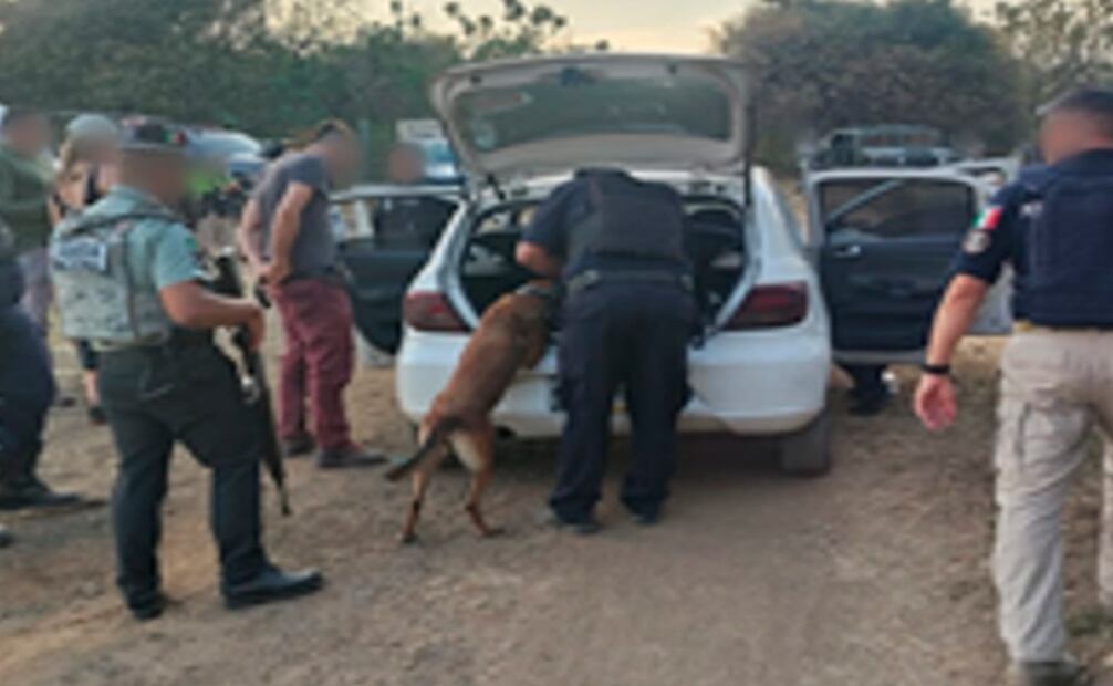 Autoridades inspeccionan autos para evitar la venta de droga (19/11/2025). Foto: Especial