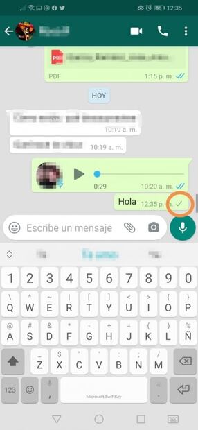 El significado de las palomas grises en WhatsApp